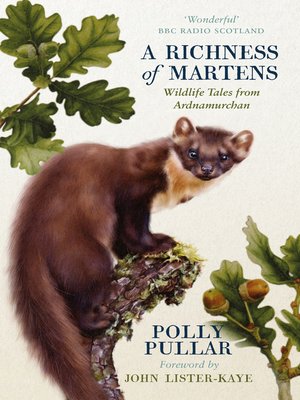 cover image of A Richness of Martens